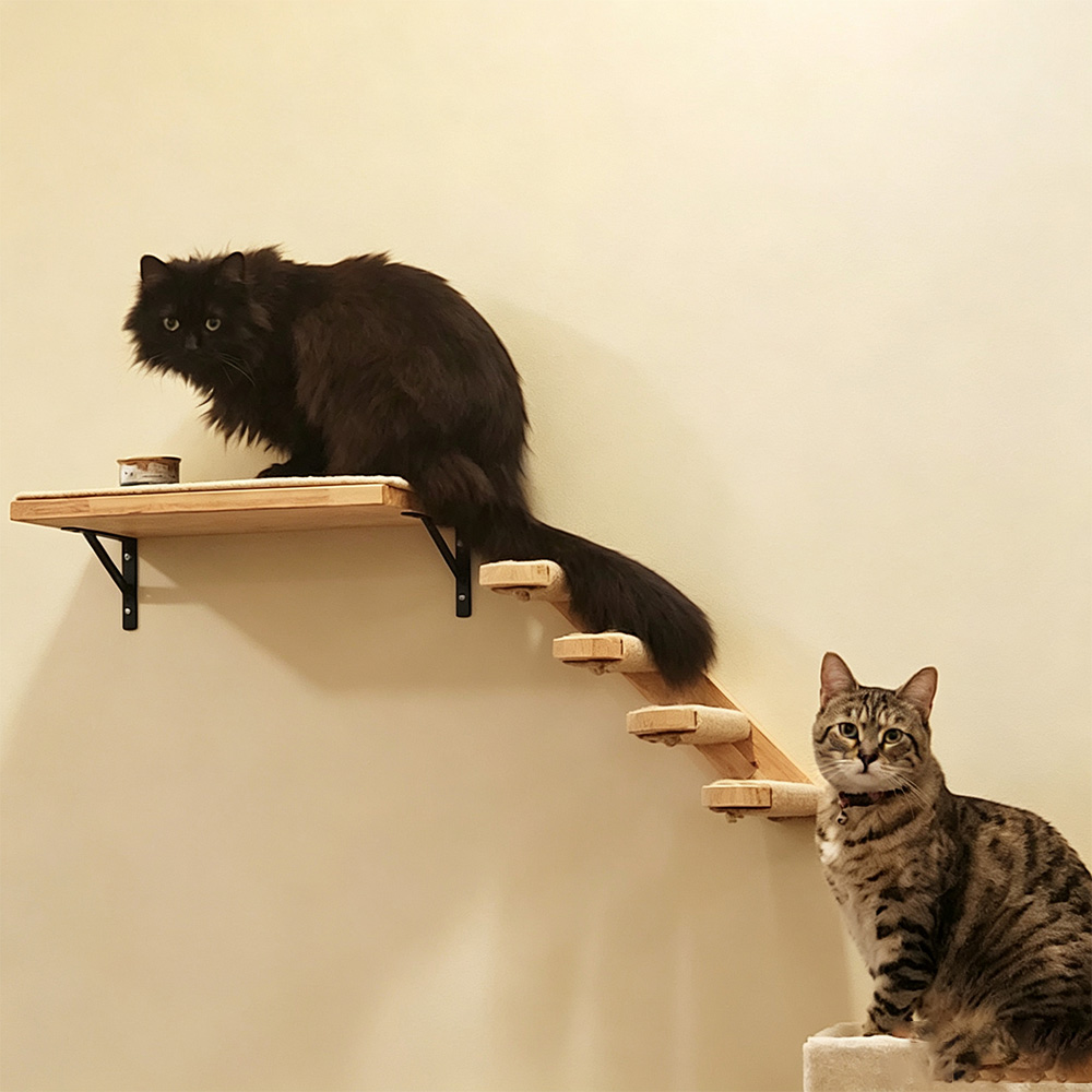 Furnitur Kucing: Jembatan Gant - Furniture Paradise & Hardware Ghaziabad ulasan dan harga